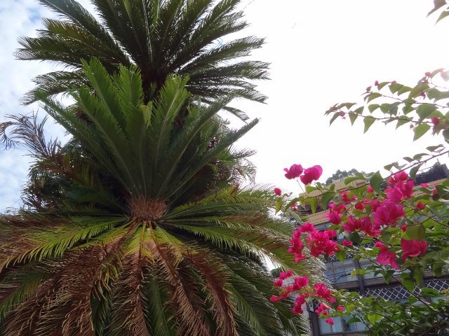 b0181748_17373855.jpg