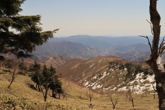 e0329049_15045326.jpg