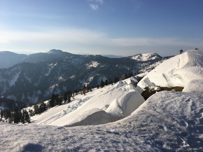 e0329049_20050002.jpg