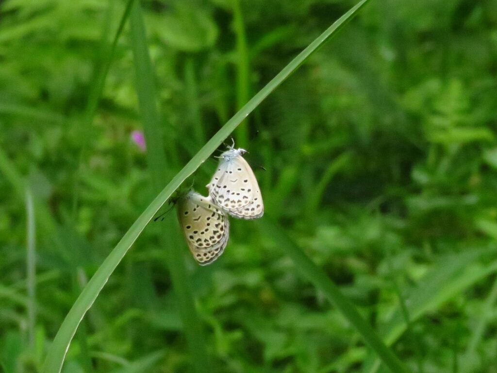 a0018655_14013797.jpg