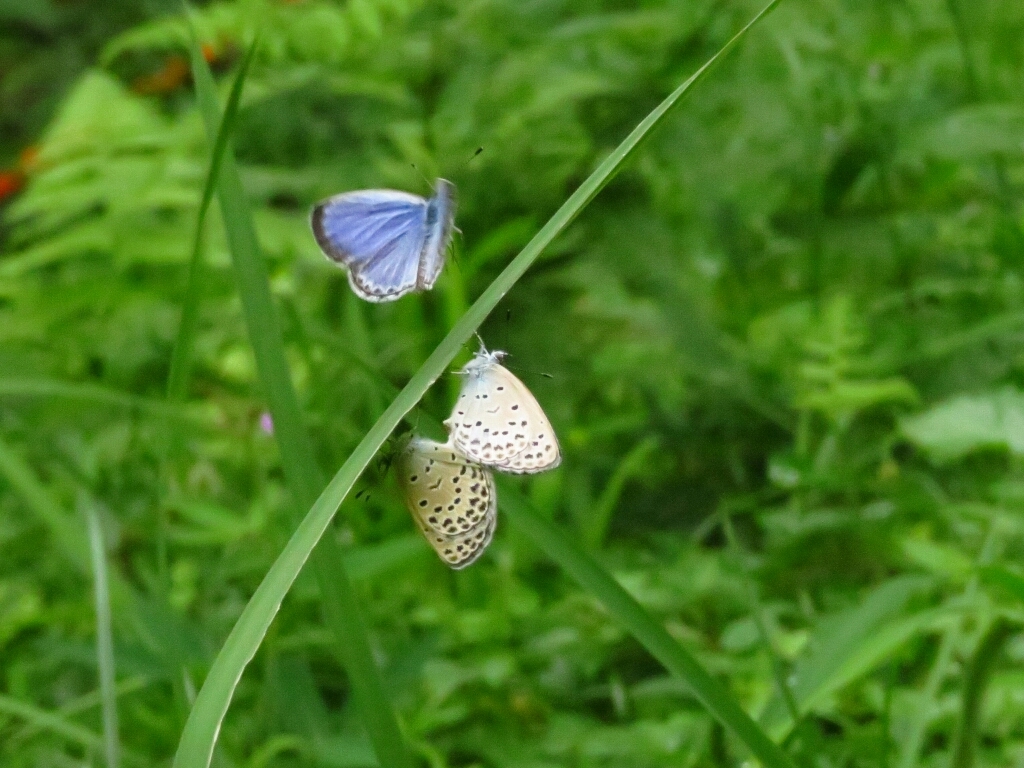 a0018655_14014316.jpg