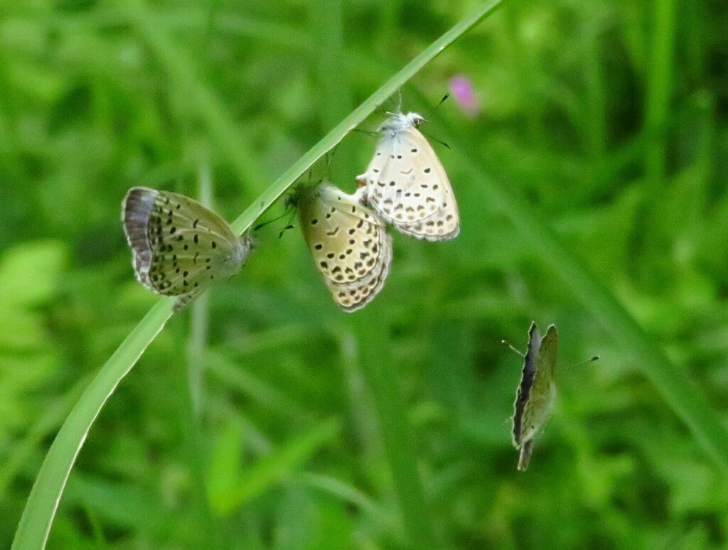 a0018655_14015295.jpg