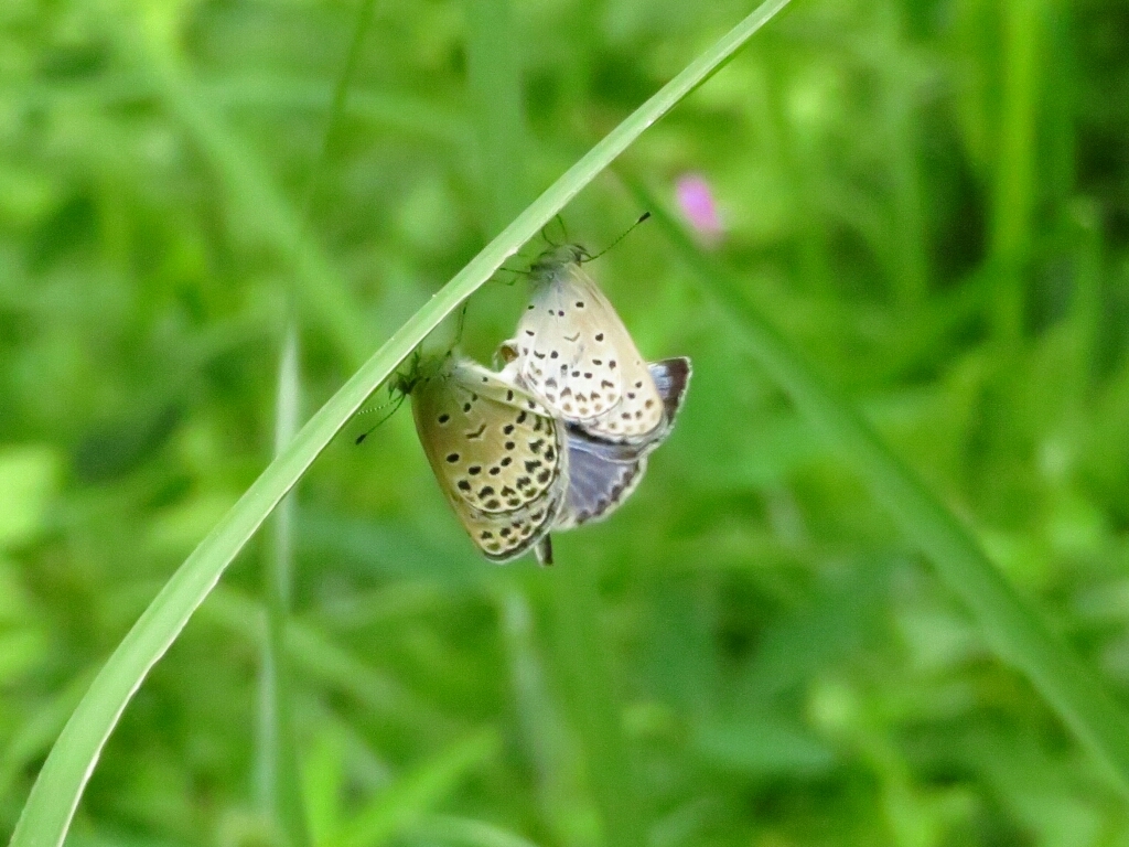 a0018655_14015555.jpg