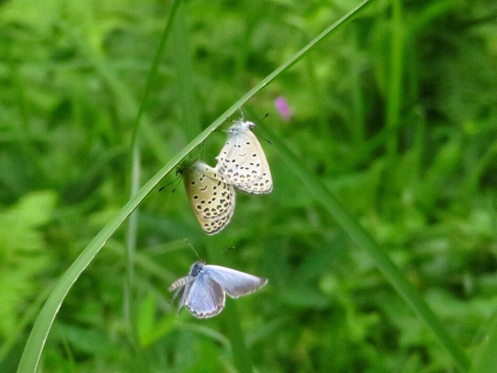 a0018655_14015760.jpg