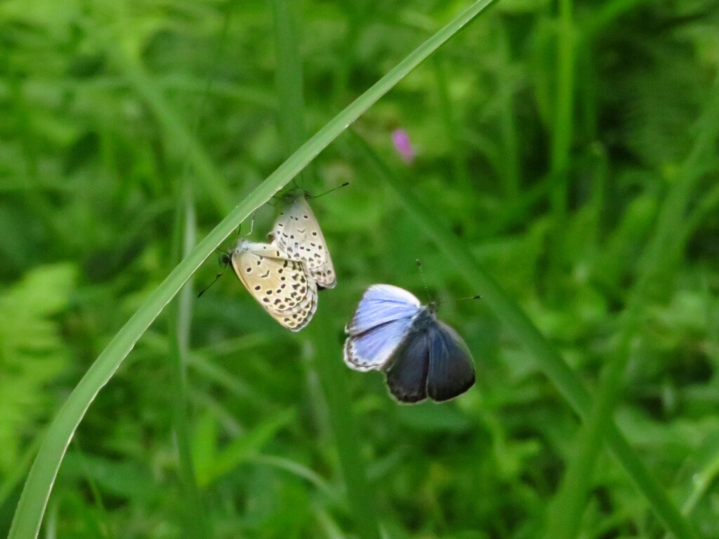 a0018655_14020065.jpg