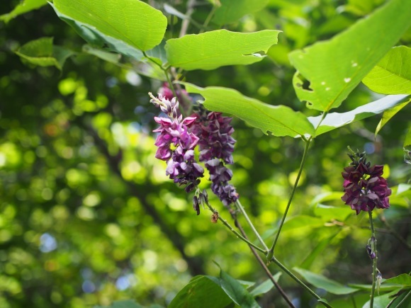 f0201157_08322883.jpg