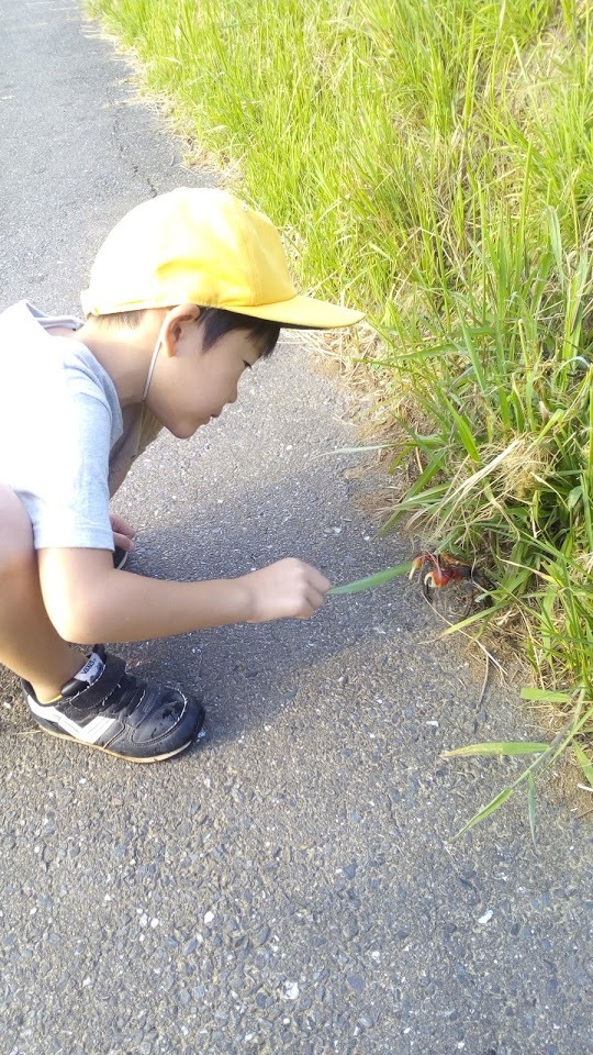 f0201157_08365467.jpg