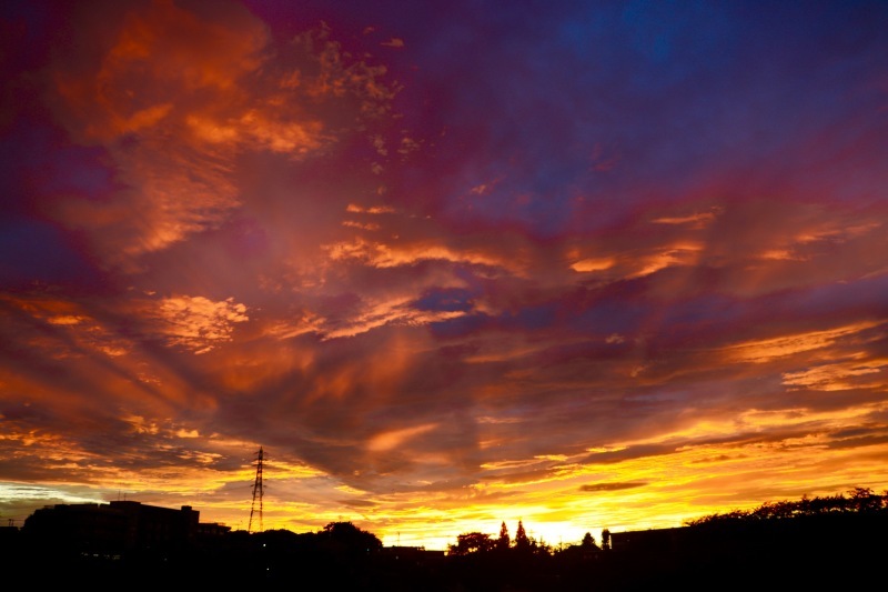 a0248459_15422353.jpg