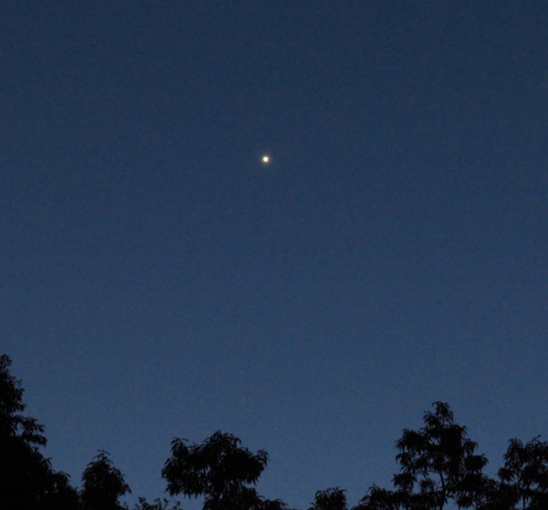 a0248459_15463918.jpg