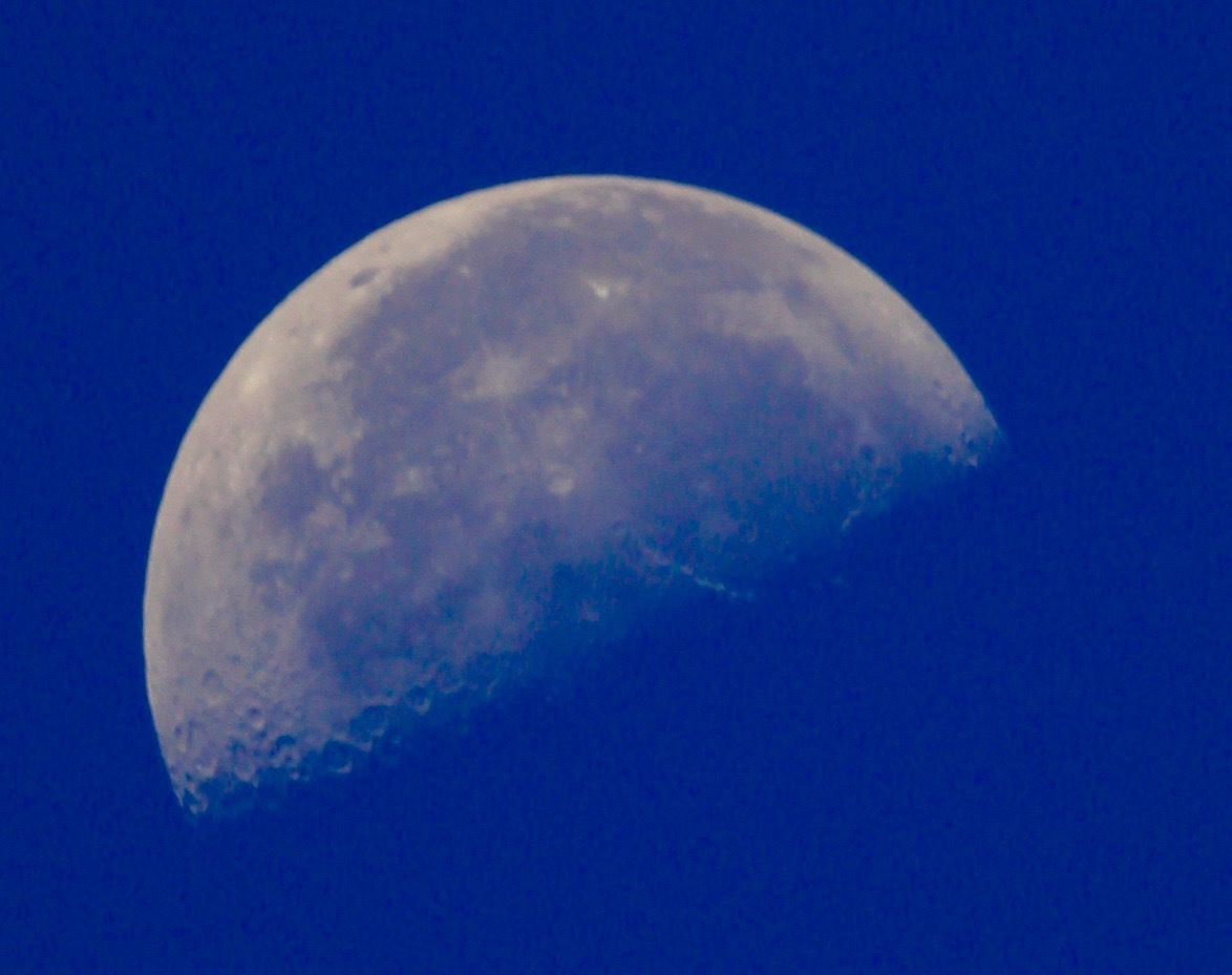 a0248459_15495649.jpg