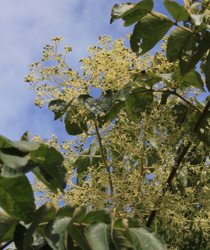 a0248459_16023817.jpg