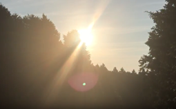b0161073_1272148.png