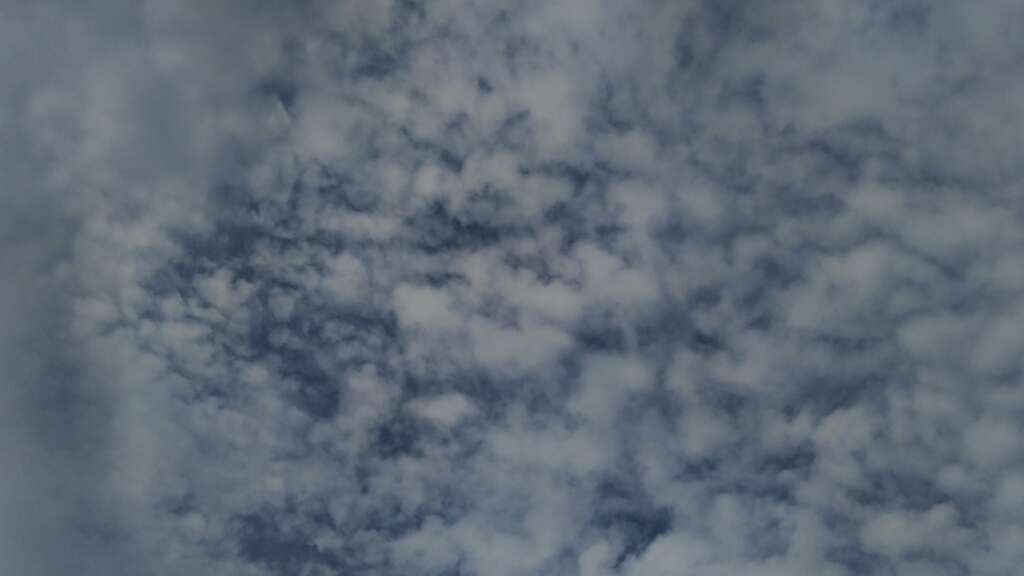 a0108380_09190937.jpg