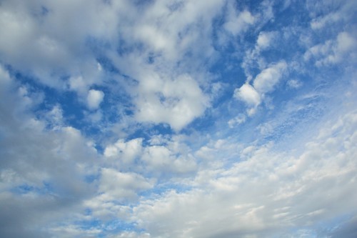 c0204385_17221402.jpg