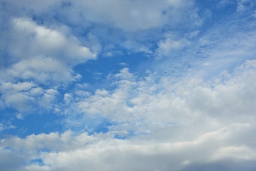 c0204385_17233994.jpg
