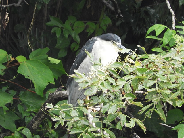 f0357487_2229562.jpg