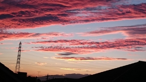 b0144891_18135741.jpg