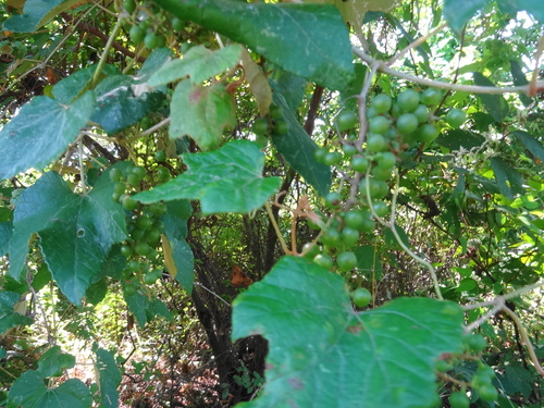 d0212491_1355411.jpg