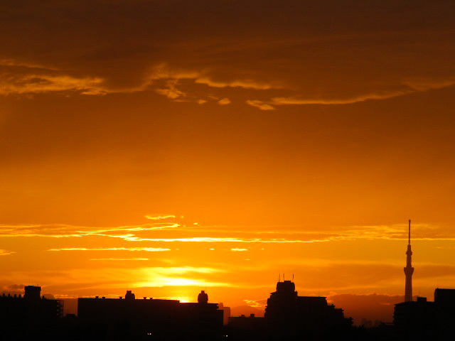 f0346196_11381851.jpg