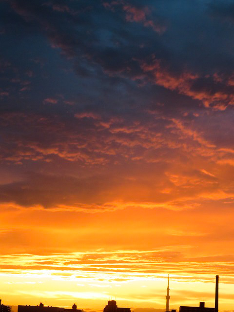 f0346196_11382808.jpg
