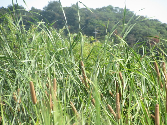 f0231709_00005122.jpg