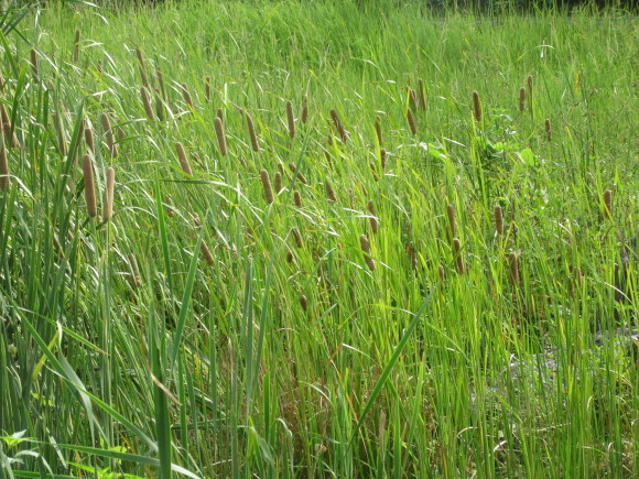 f0231709_00024764.jpg