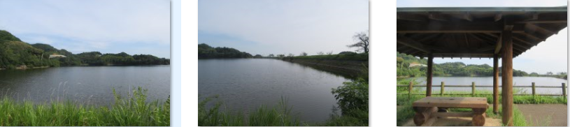 f0231709_00044283.png