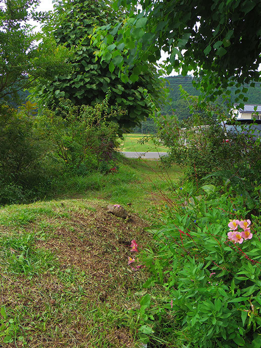 a0193314_20001759.jpg
