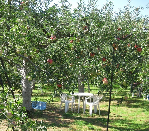 f0371014_06171140.jpg