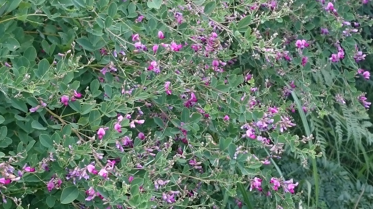e0350415_04500526.jpg