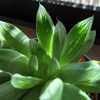 c0152816_218414.jpg