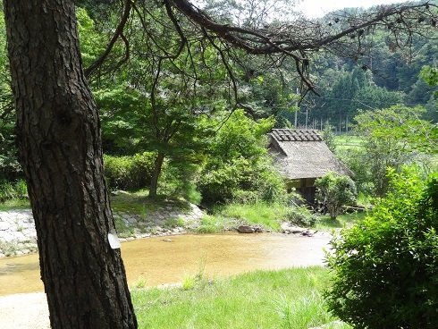 f0000521_05233076.jpg