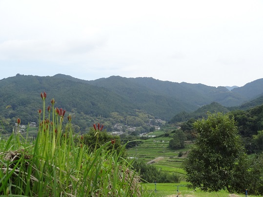 f0000521_18250176.jpg