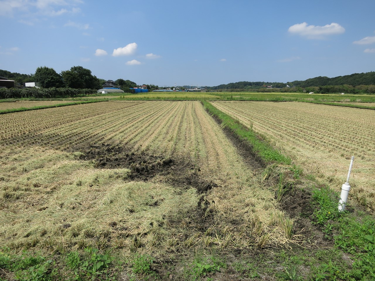 f0225627_21422734.jpg