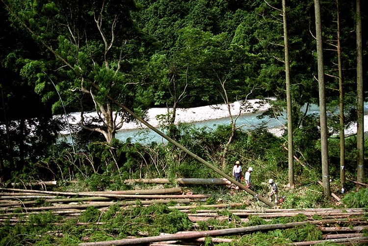 d0147530_08010249.jpg
