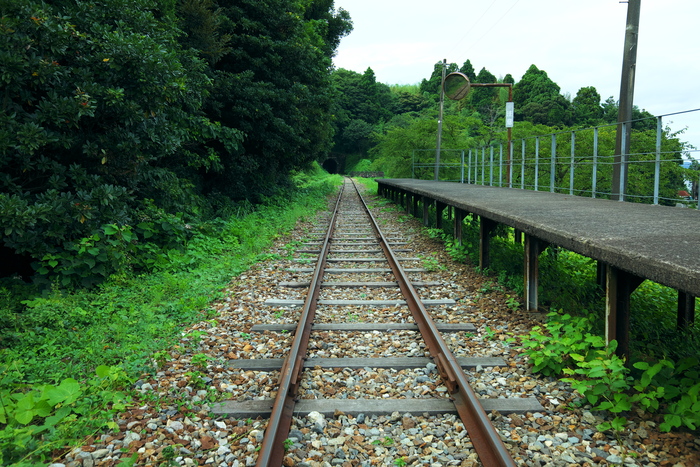 b0322337_1513352.jpg
