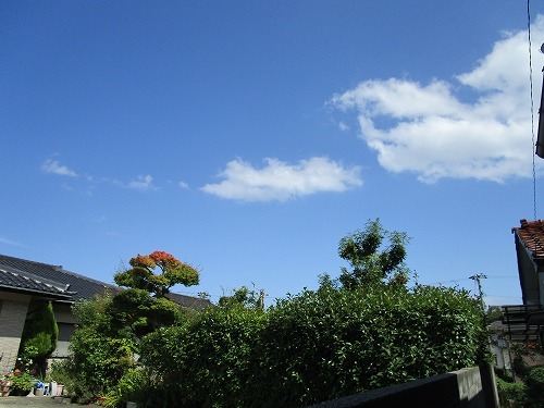 c0327752_14091437.jpg