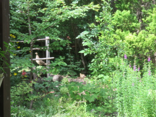e0325660_22202921.jpg