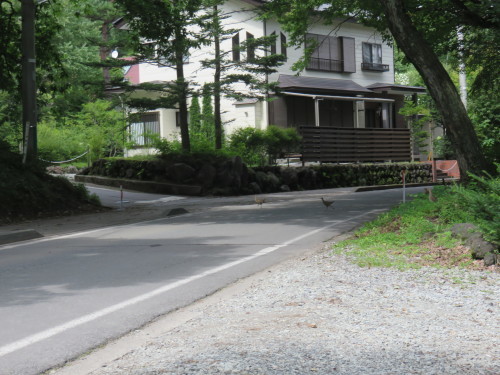 e0325660_22331862.jpg