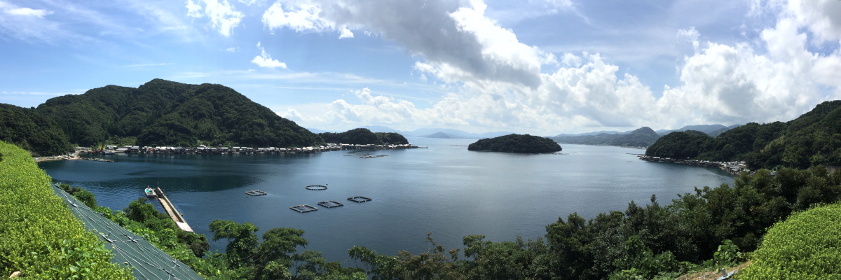 c0123363_1347939.jpg