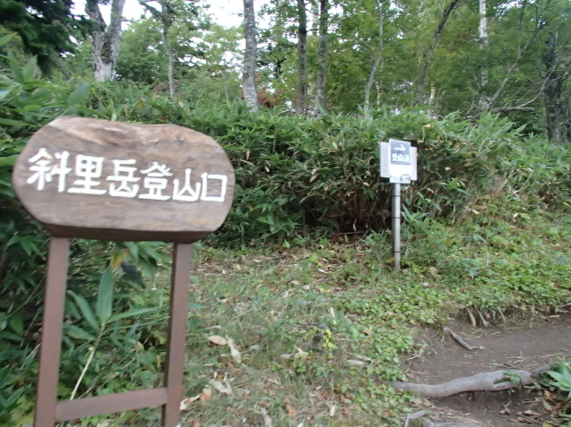 f0130376_19275833.jpg