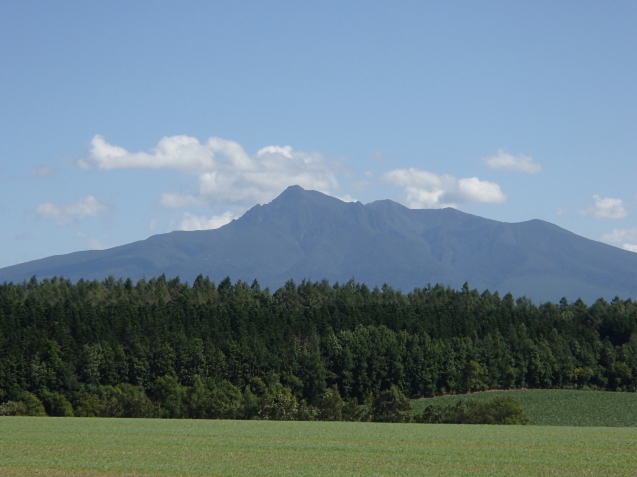 f0130376_19282504.jpg