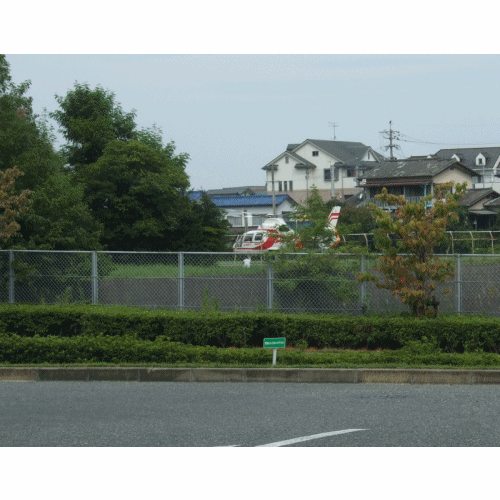 e0086885_16112422.gif