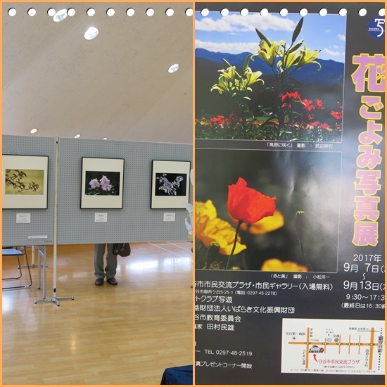 b0364186_09341266.jpg
