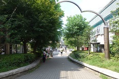 d0183387_12182971.jpg