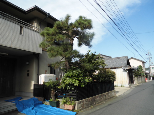 c0108198_1735356.jpg