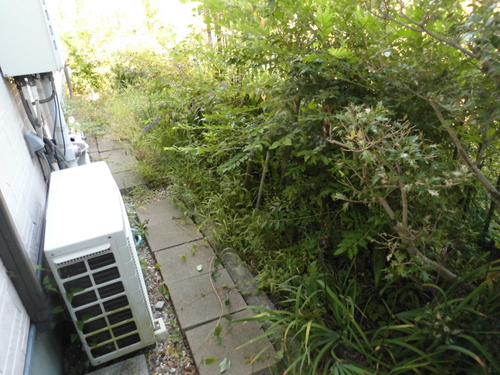 c0108198_17373097.jpg