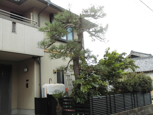 c0108198_17393240.jpg