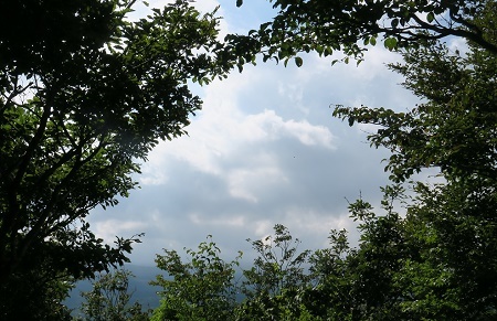 a0158702_15464966.jpg