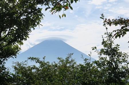 a0158702_15474446.jpg